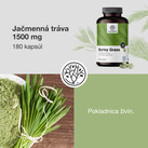 Image preview 2