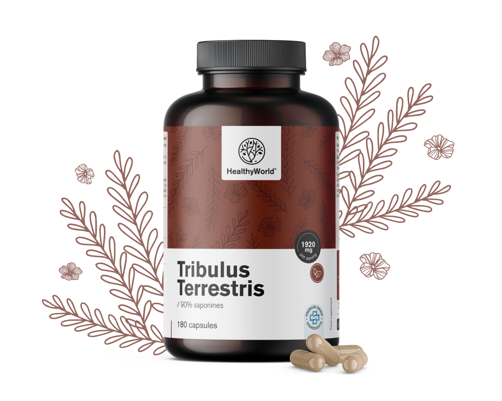 Kotvičník zemný - Tribulus 1920 mg
