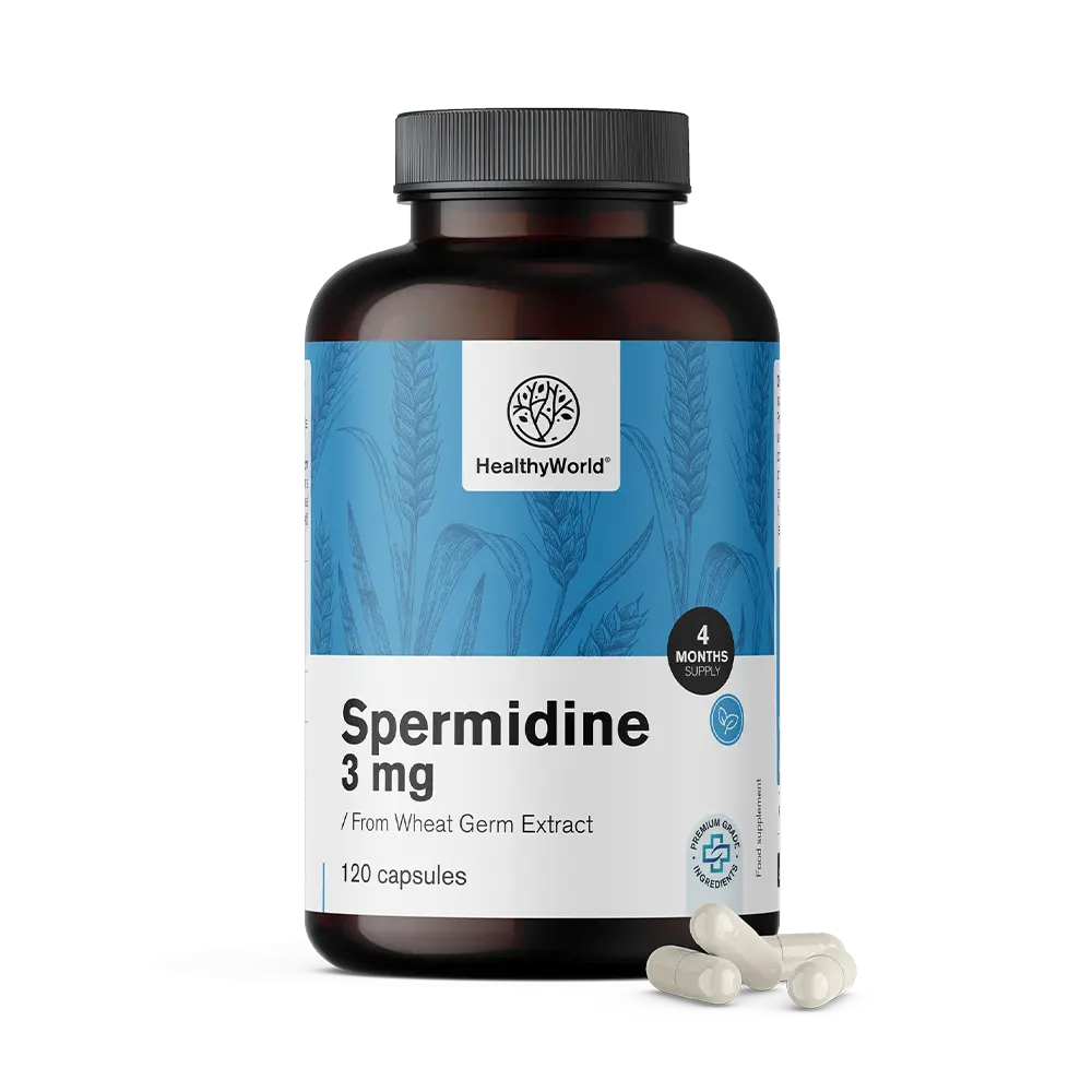 Spermidín 3 mg - z extraktu pšeničných kalčíkov.