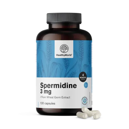 Spermidín 3 mg – z extraktu pšeničných klíčkov, 120 kapsúl