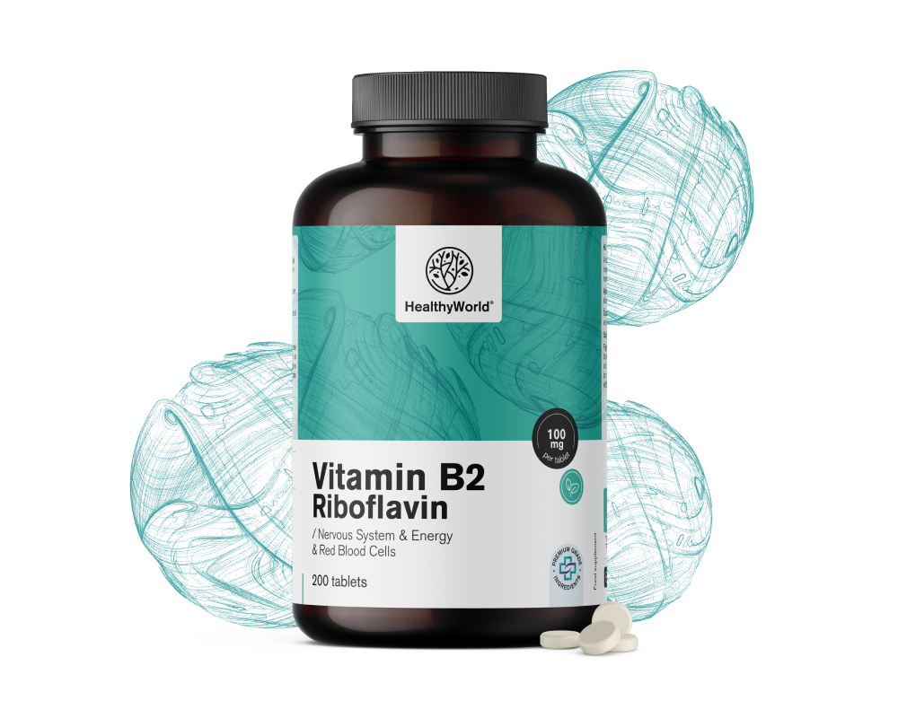 Vitamín B2 - riboflavín 100 mg
