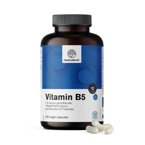 Vitamín B5 500 mg, 240 kapsúl