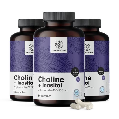 3x Cholín-inozitol 450/450 mg, spolu 180 kapsúl