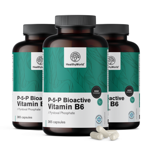 3x P-5-P – Bioaktívna forma vitamínu B6, spolu 1095 kapsúl