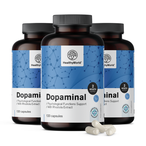 3x Dopaminal – Dopamine Support, spolu 360 kapsúl