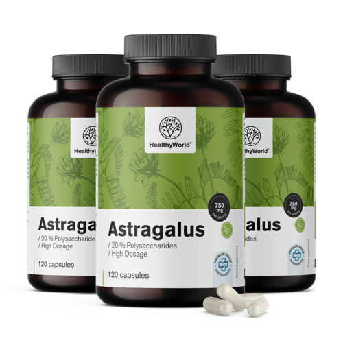 3x Astragalus – extrakt, spolu 360 kapsúl