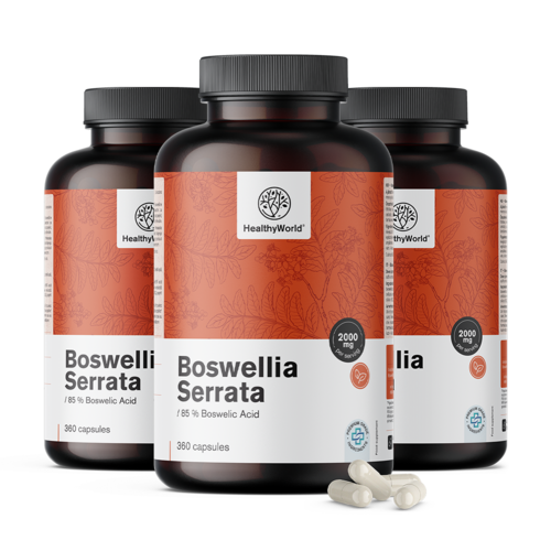 3x Boswellia (Boswellia Serrata) – 85% kyseliny boswellovej, spolu 1080 kapsúl