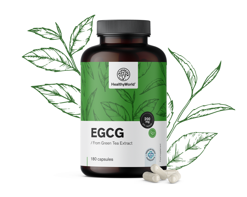 EGCG – z extraktu zeleného čaju