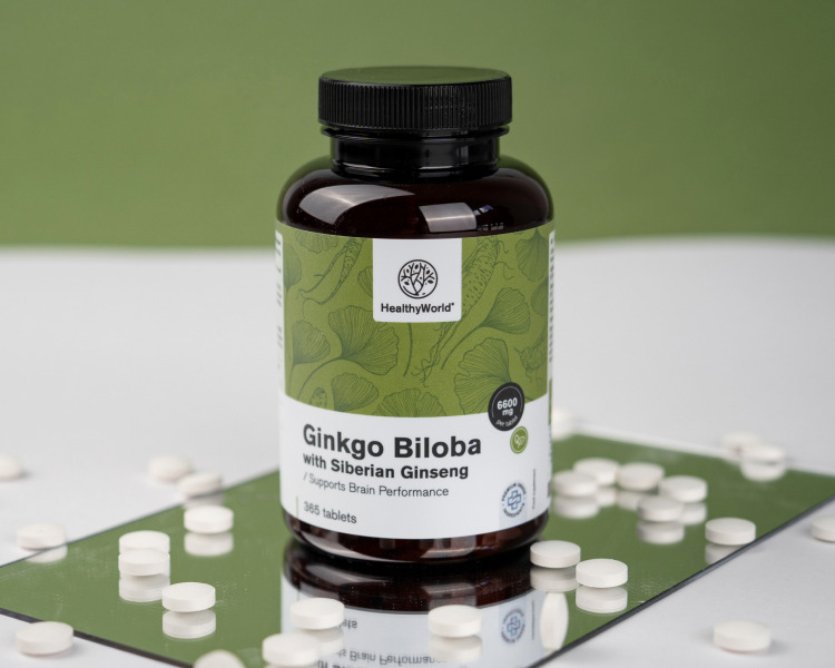 Ginkgo biloba so sibírskym ženšenom 6600 mg
